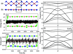 Graphical abstract: One-dimensional transition metal dihalide nanowires as robust bipolar magnetic semiconductors