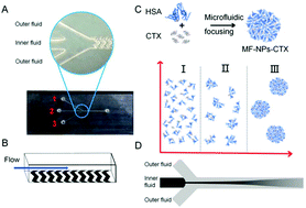 Graphical abstract: Microfluidic self-assembly of high cabazitaxel loading albumin nanoparticles