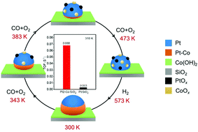 Graphical abstract: In situ observations of the structural dynamics of platinum–cobalt–hydroxide nanocatalysts under CO oxidation