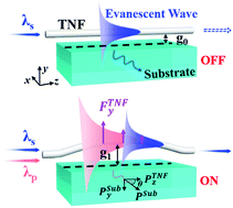 Graphical abstract: A broadband and low-power light-control-light effect in a fiber-optic nano-optomechanical system