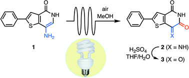 Graphical abstract: In-flow photooxygenation of aminothienopyridinones generates iminopyridinedione PTP4A3 phosphatase inhibitors