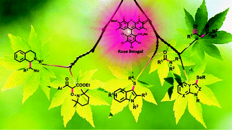 Graphical abstract: Recent advances in photocatalytic manipulations of Rose Bengal in organic synthesis