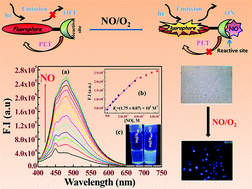 Graphical abstract: A smart molecular probe for selective recognition of nitric oxide in 100% aqueous solution with cell imaging application and DFT studies