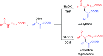 Graphical abstract: Base-promoted regiodivergent allylation of N-acylhydrazones with Morita–Baylis–Hillman carbonates by tuning the catalyst