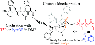 Graphical abstract: Investigations of the key macrolactamisation step in the synthesis of cyclic tetrapeptide pseudoxylallemycin A