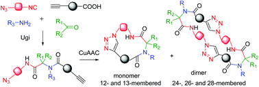 Graphical abstract: Synthesis of macrocyclic peptidomimetics via the Ugi-click-strategy