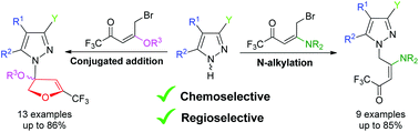 Graphical abstract: Chemo- and regioselective reactions of 5-bromo enones/enaminones with pyrazoles