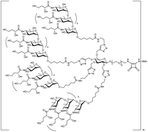 Graphical abstract: Synthesis of glycocluster-containing conjugates for a vaccine against cholera