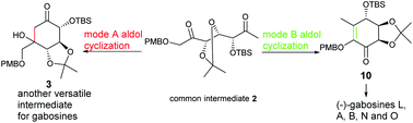 Graphical abstract: A divergent strategy to synthesize gabosines featuring a switchable two-way aldol cyclization