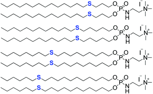 Graphical abstract: Substitution of unsaturated lipid chains by thioether-containing lipid chains in cationic amphiphiles: physicochemical consequences and application for gene delivery