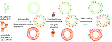 Graphical abstract: Functional self-assembled nanovesicles based on β-cyclodextrin, liposomes and adamantyl guanidines as potential nonviral gene delivery vectors