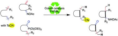Graphical abstract: Cobalt-catalyzed cyclization with the introduction of cyano, acyl and aminoalkyl groups