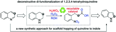 Graphical abstract: Deconstructive di-functionalization of unstrained, benzo cyclic amines by C–N bond cleavage using a recyclable tungsten catalyst