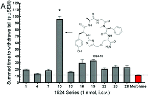 Graphical abstract: Antinociceptive activity of thiazole-containing cyclized DAMGO and Leu-(Met) enkephalin analogs