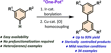 Graphical abstract: Sterically controlled C–H/C–H homocoupling of arenes via C–H borylation