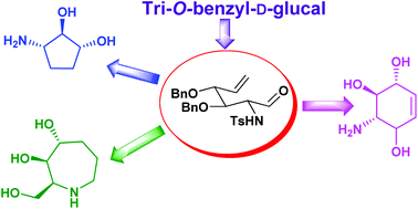 Graphical abstract: Ring closing metathesis (RCM) approach to the synthesis of conduramine B-2, ent-conduramine F-2, aminocyclopentitol and trihydroxyazepane