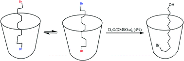 Graphical abstract: Binding orientation and reactivity of alkyl α,ω-dibromides in water-soluble cavitands