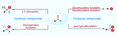 Graphical abstract: Recent advances in the borylative transformation of carbonyl and carboxyl compounds