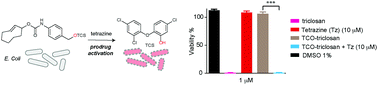 Graphical abstract: Development of a self-immolative linker for tetrazine-triggered release of alcohols in cells