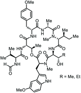 Graphical abstract: Structures and biological activities of cycloheptamycins A and B