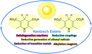 Graphical abstract: Hantzsch esters: an emerging versatile class of reagents in photoredox catalyzed organic synthesis