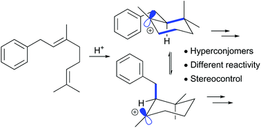 Graphical abstract: Hyperconjomer stereocontrol of cationic polyene cyclisations