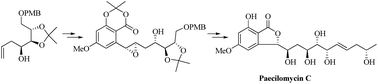 Graphical abstract: Asymmetric total synthesis of paecilomycin C through intramolecular nucleophilic ring opening of an epoxide