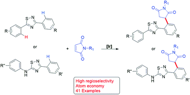 Graphical abstract: Regioselective C–C cross-coupling of 1,2,4-thiadiazoles with maleimides through iridium-catalyzed C–H activation