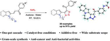 Graphical abstract: Catalyst-free facile synthesis of polycyclic indole/pyrrole substituted-1,2,3-triazoles