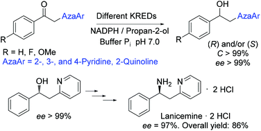 Graphical abstract: Highly efficient asymmetric bioreduction of 1-aryl-2-(azaaryl)ethanones. Chemoenzymatic synthesis of lanicemine
