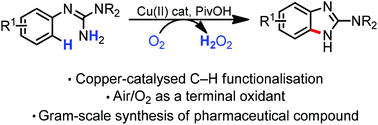 Graphical abstract: Copper-catalysed C–H functionalisation gives access to 2-aminobenzimidazoles