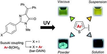 Graphical abstract: Synthesis and environment-dependent fluorescence behavior of a biaryl-conjugated (diphenylmethylene)imidazolinone