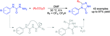 Graphical abstract: Synthesis of 3-(tri/difluoromethyl)-1H-1,2,4-triazol-5(4H)-ones via the cyclization of hydrazinecarboxamides with tri/difluoroacetic anhydride