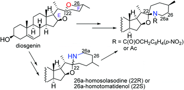 Graphical abstract: The synthesis of solasodine F-homo-analogues