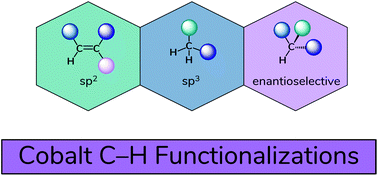 Graphical abstract: Recent advances in cobalt-catalysed C–H functionalizations