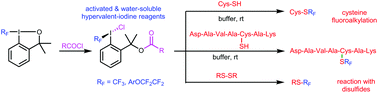 Graphical abstract: Synthesis of water-soluble hypervalent iodine reagents for fluoroalkylation of biological thiols