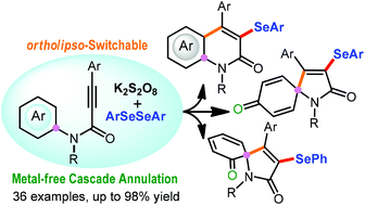 Graphical abstract: Metal-free switchable ortho/ipso-cyclization of N-aryl alkynamides: divergent synthesis of 3-selenyl quinolin-2-ones and azaspiro[4,5]trienones