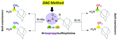 Graphical abstract: N-Isopropylsulfinylimines vs. N-tert-butylsulfinylimines in the stereoselective synthesis of sterically hindered amines: an improved synthesis of enantiopure (R)- and (S)-rimantadine and the trifluoromethylated analogues