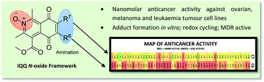 Graphical abstract: Isoquinolinequinone N-oxides as anticancer agents effective against drug resistant cell lines