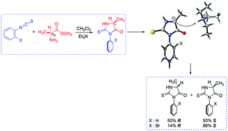 Graphical abstract: Elucidation of the atroposelectivity in the synthesis of axially chiral thiohydantoin derivatives