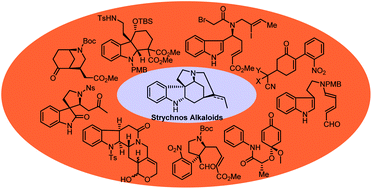 Graphical abstract: Recent progress in the total synthesis of Strychnos alkaloids