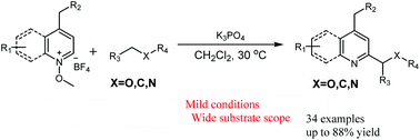 Graphical abstract: External oxidant-free alkylation of quinoline and pyridine derivatives