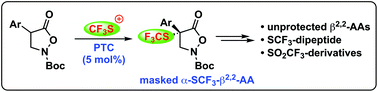 Graphical abstract: Enantioselective catalytic synthesis of α-aryl-α-SCF3-β2,2-amino acids