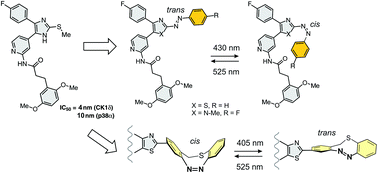 Graphical abstract: 2-Azo-, 2-diazocine-thiazols and 2-azo-imidazoles as photoswitchable kinase inhibitors: limitations and pitfalls of the photoswitchable inhibitor approach