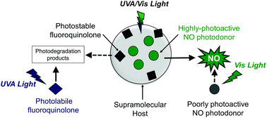 Graphical abstract: A calix[4]arene-based ternary supramolecular nanoassembly with improved fluoroquinolone photostability and enhanced NO photorelease