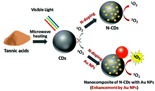 Graphical abstract: A nanocomposite of N-doped carbon dots with gold nanoparticles for visible light active photosensitisers