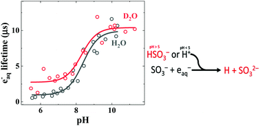 Graphical abstract: Nanosecond transient absorption studies of the pH-dependent hydrated electron quenching by HSO3−