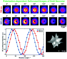 Graphical abstract: Polarization- and wavelength-dependent defocused scattering imaging of single gold nanostars with multiple long branches