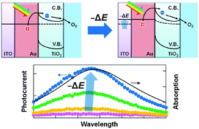 Graphical abstract: Electrochemical modulation of plasmon-induced charge separation behaviour at Au–TiO2 photocathodes