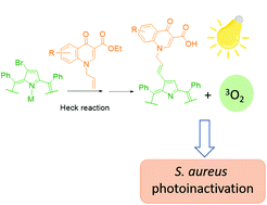 Graphical abstract: Synthesis and photodynamic effects of new porphyrin/4-oxoquinoline derivatives in the inactivation of S. aureus